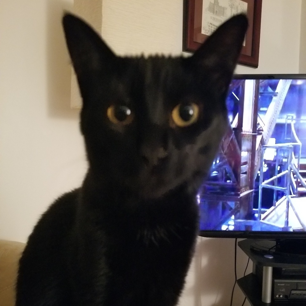 Meet your Posher, Tirsa